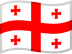 Georgia flag